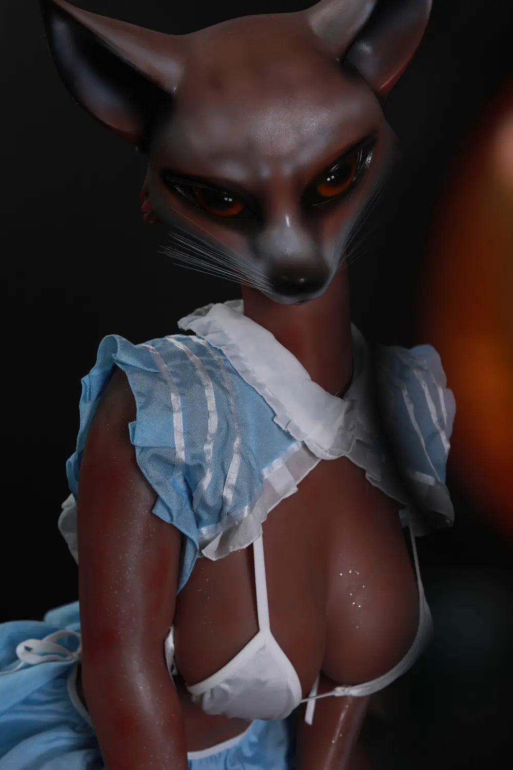 Front close-up of Vesper fox head showing pointed ears, dark nose and fine whiskers