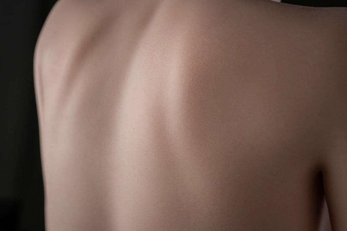 Close-up of Elowen doll's upper back and shoulder blades, showing fine surface texture.